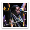 Ladysmith Black Mambazo